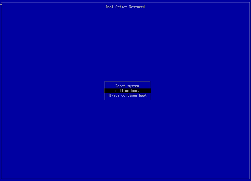 A photo of the boot option menu